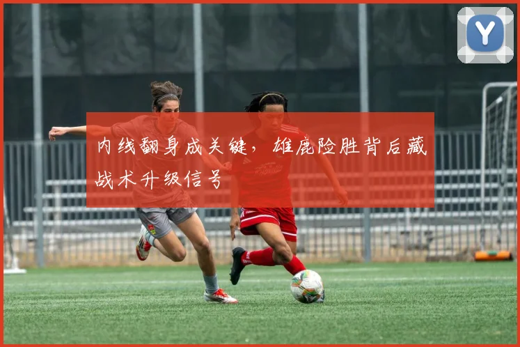 内线翻身成关键，雄鹿险胜背后藏战术升级信号