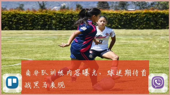 南非队训练内容曝光，球迷期待首战黑马表现