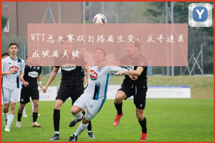 WTT总决赛双打格局生变，反手速度成破局关键