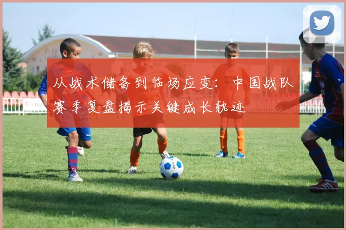 从战术储备到临场应变：中国战队赛季复盘揭示关键成长轨迹