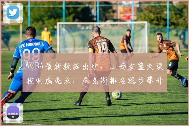 WCBA最新数据出炉，山西女篮失误控制成亮点，尼克斯排名稳步攀升